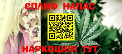 ГАЛЛЮЦИНОГЕННЫЕ ГРИБЫ Пугачёв