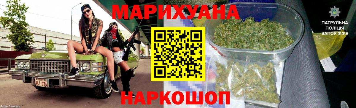 Каннабис сатива Новороссийск
